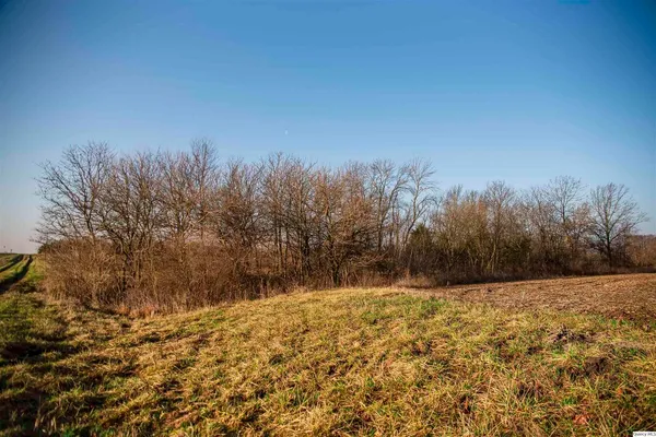 a view of a road with an ocean view