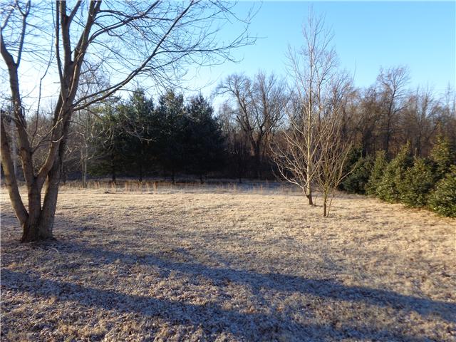 7610 Covington Road White House, TN 37188 - Photo 3 of 18
