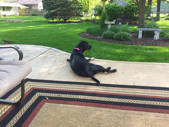 $547,500 | 6828 Kincaid Court, Woodridge, IL 60517