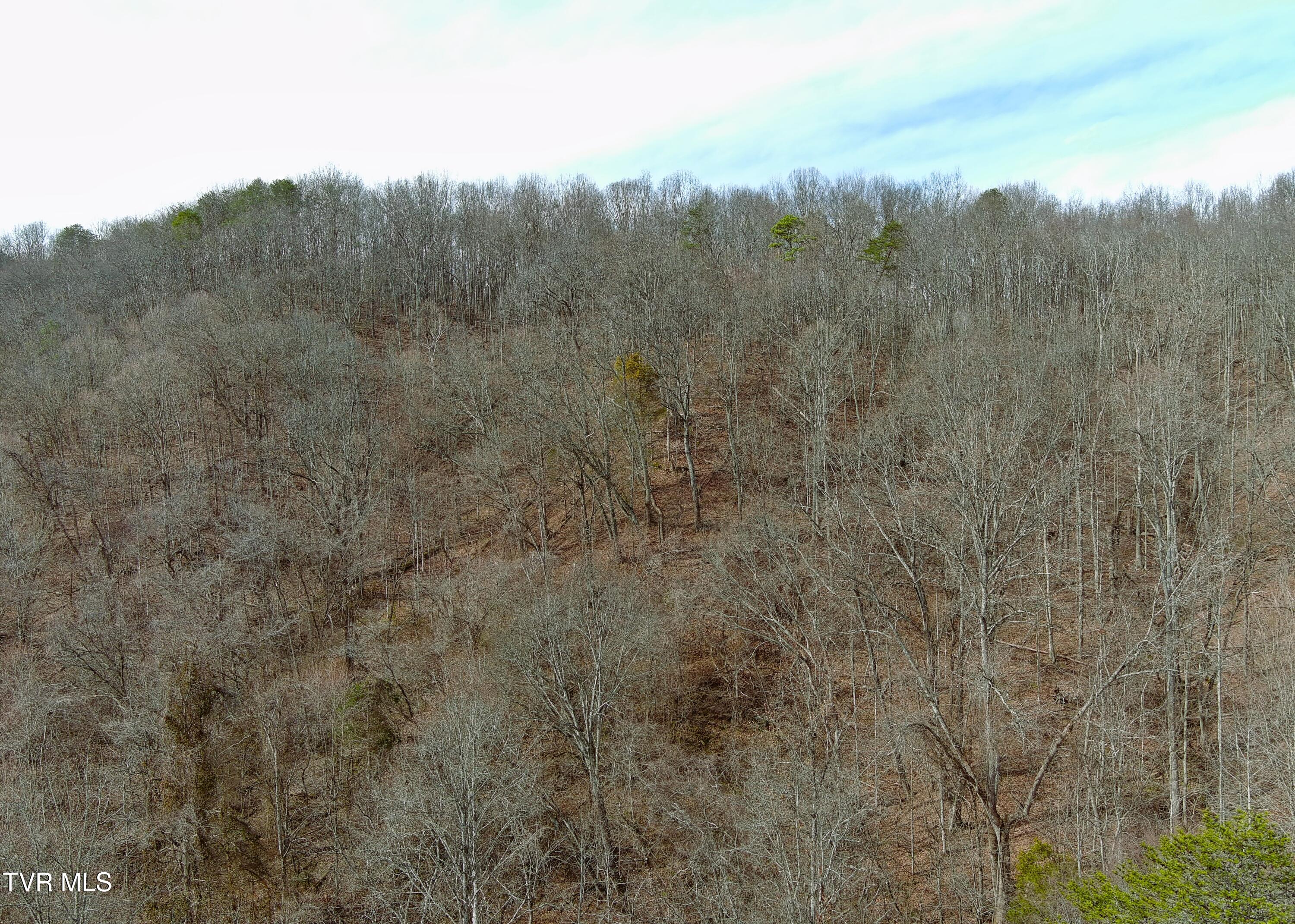 0 Speedwell Church Road, Unit 7 Bulls Gap, TN 37711 - Photo 22 of 32 19