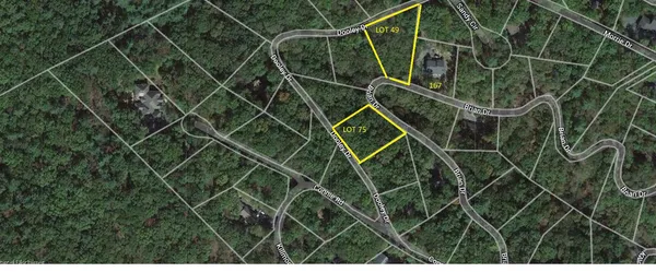 $22,000 | Lot 75 Dooley, Basye, VA 22810