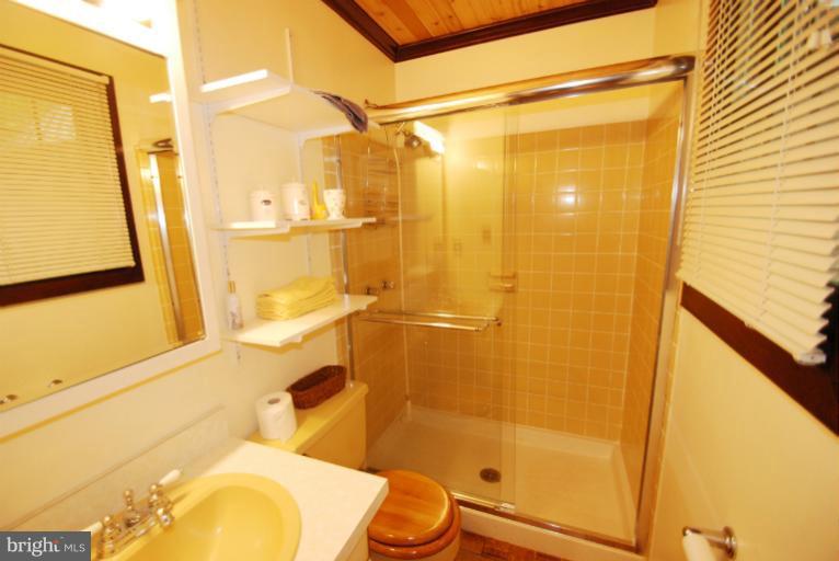 14123 Sunnybrook Road Phoenix, MD 21131 - Photo 14 of 30 a bathroom with a sink and shower
