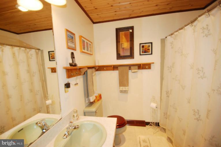 14123 Sunnybrook Road Phoenix, MD 21131 - Photo 16 of 30 a bathroom with a sink and a shower curtain