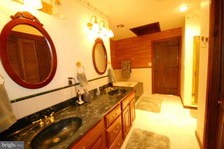 14123 Sunnybrook Road Phoenix, MD 21131 - Photo 21 of 30 a bathroom with a sink and a mirror
