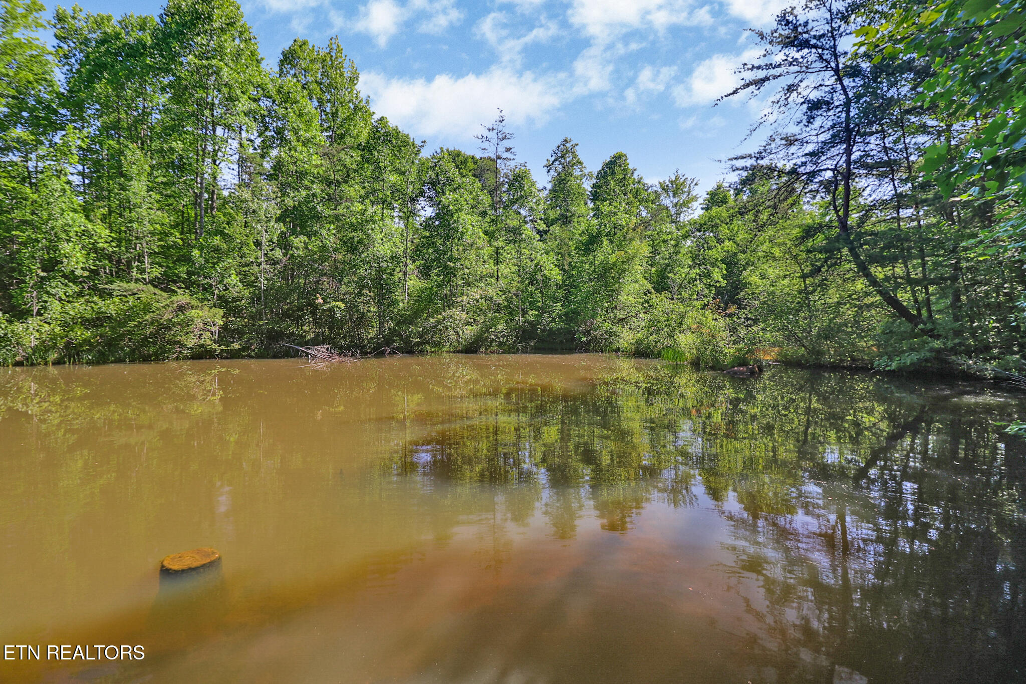 101 Duncan Hinds Road Jamestown, TN 38556 - Photo 33 of 59 Pond 3