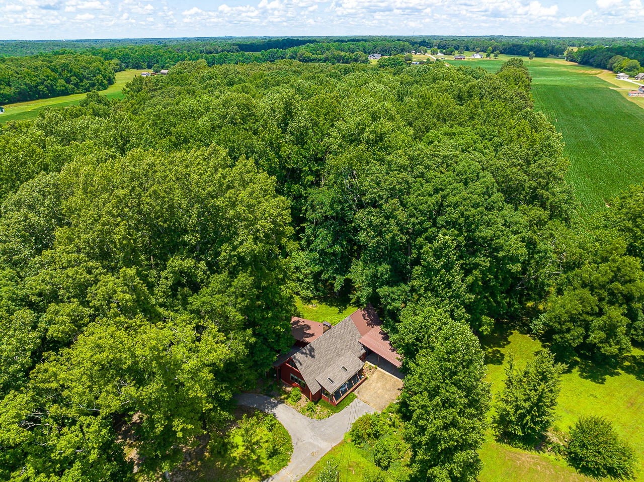 253 Hunter Road Fayetteville, TN 37334 - Photo 50 of 61 an aerial view of residential house with outdoor space and trees all around
