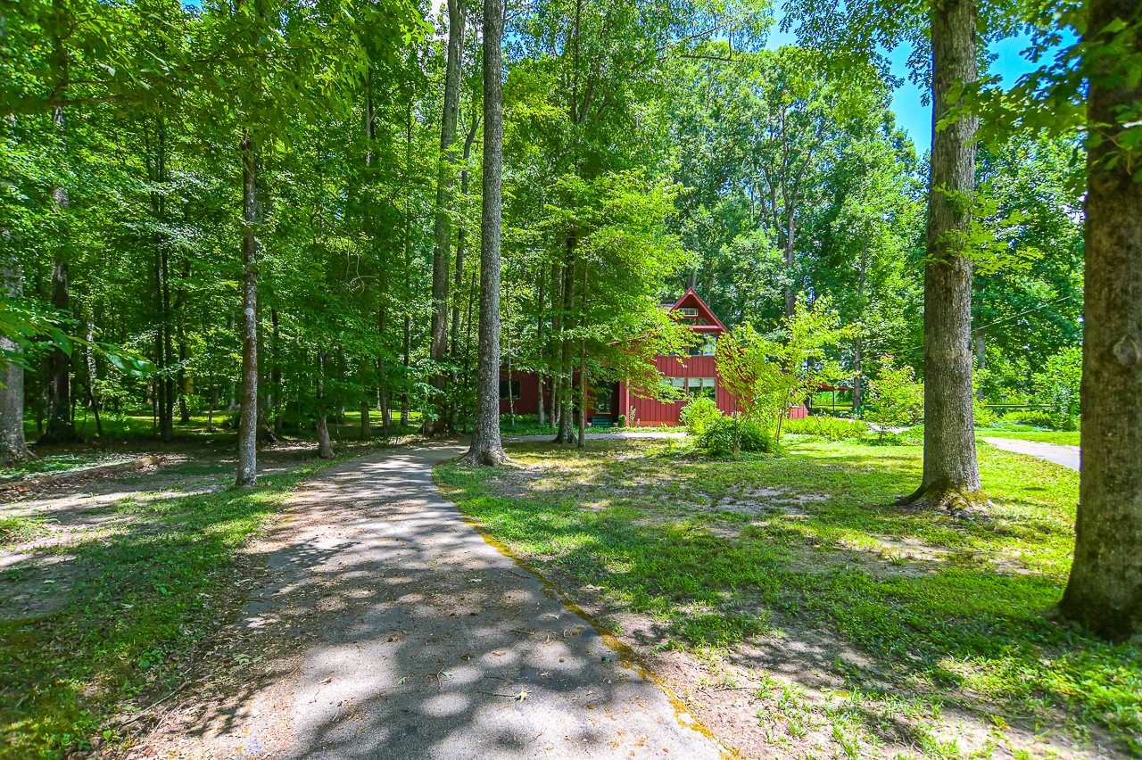 253 Hunter Road Fayetteville, TN 37334 - Photo 5 of 61 a view of a tree in a yard