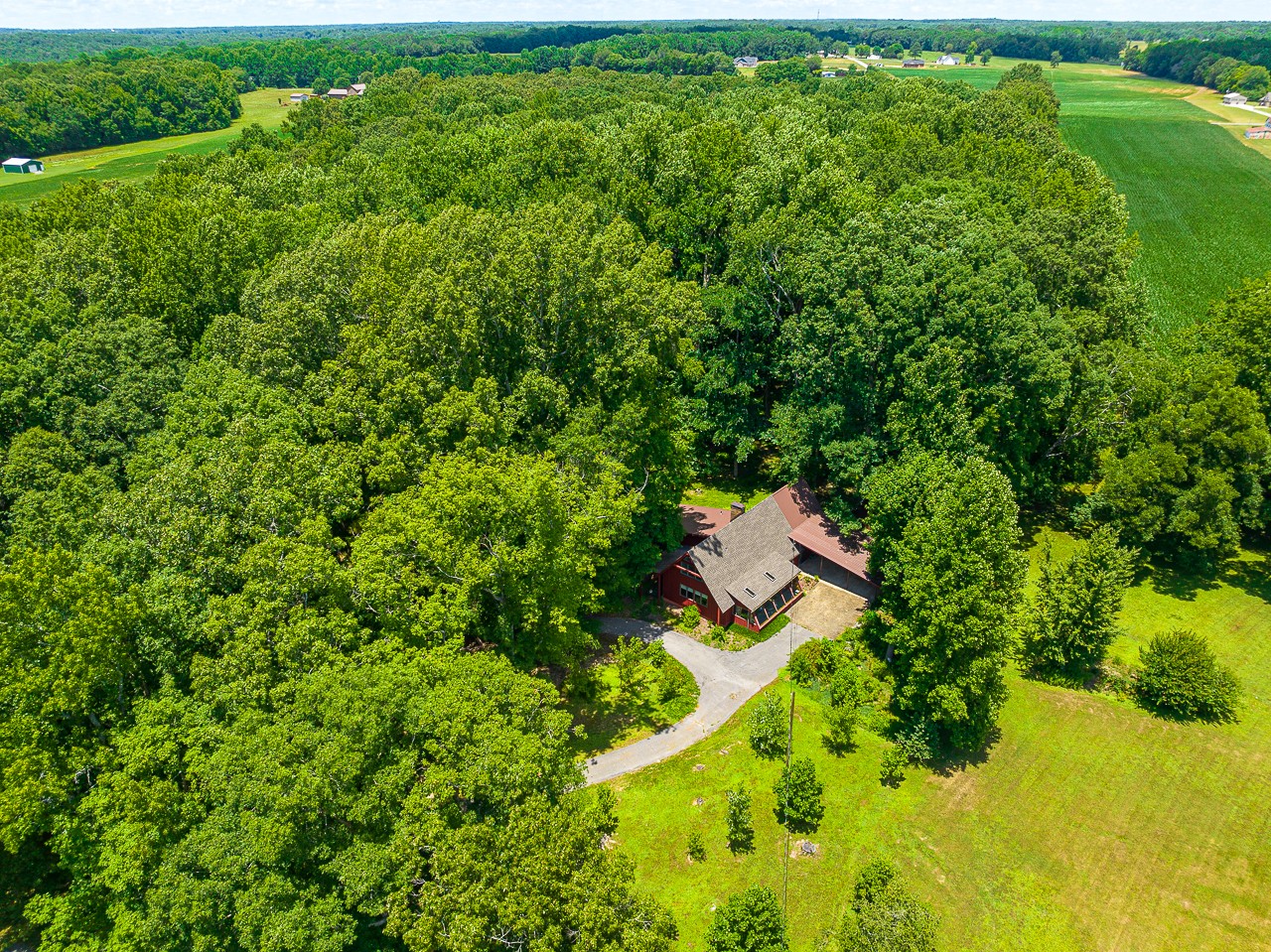 253 Hunter Road Fayetteville, TN 37334 - Photo 51 of 61 an aerial view of residential house with outdoor space and trees all around