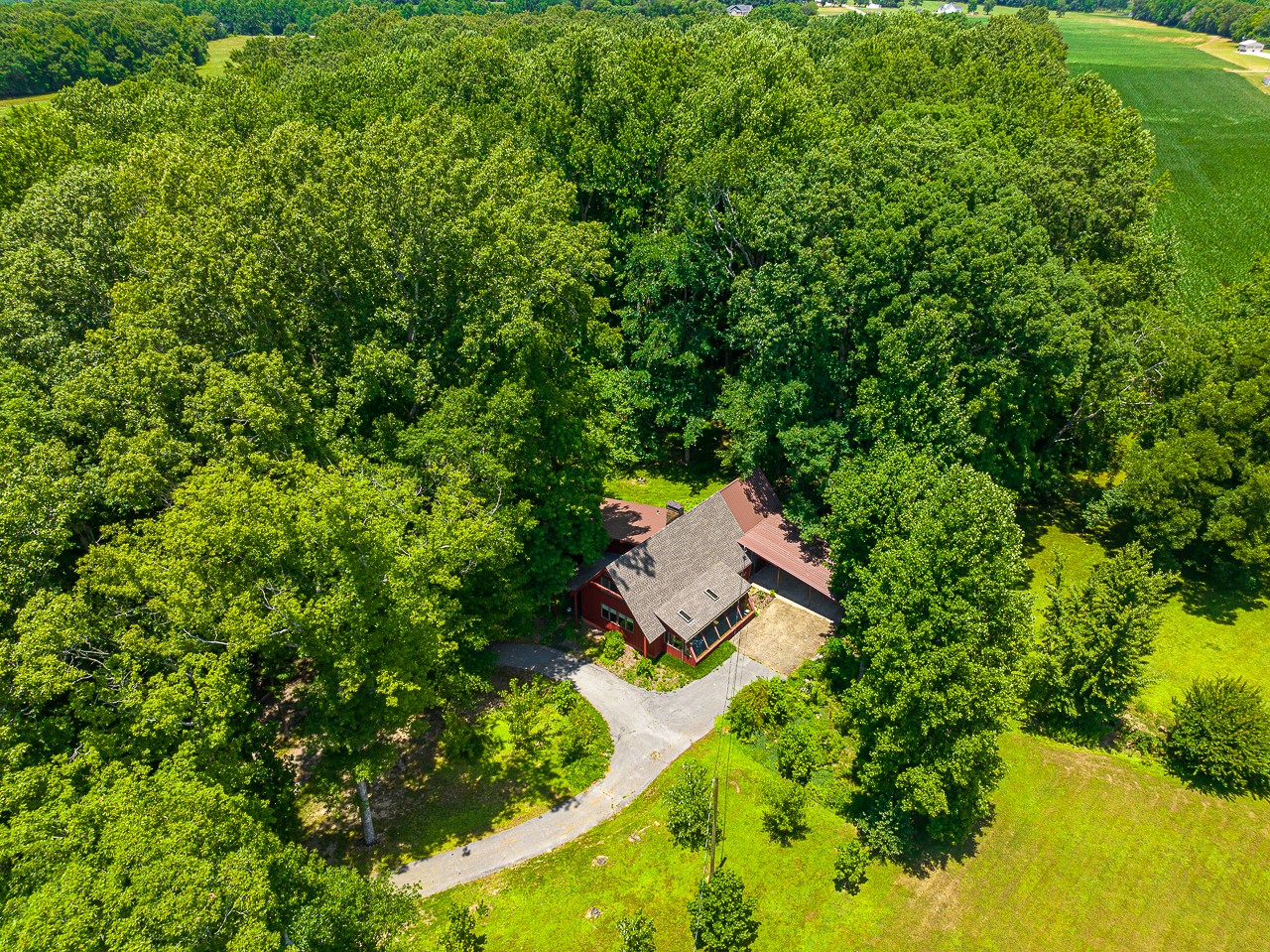 253 Hunter Road Fayetteville, TN 37334 - Photo 59 of 61 a view of a house with a yard