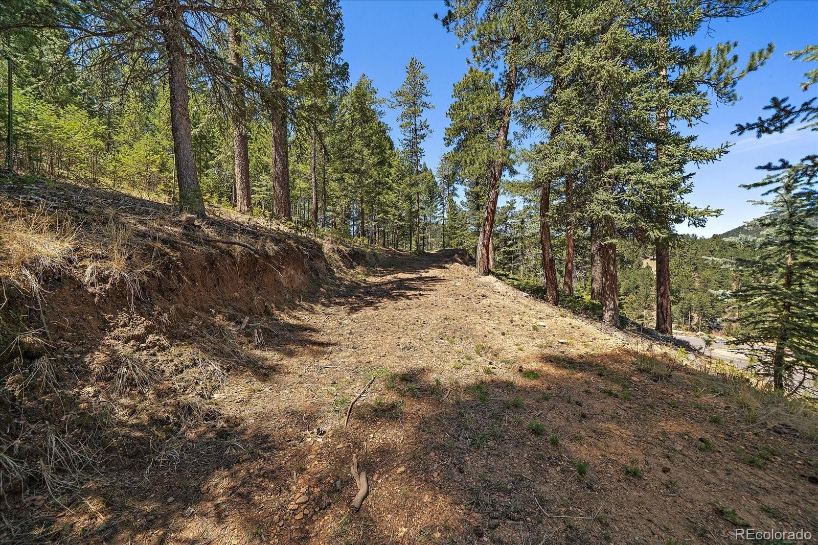 6855 Lynx Lair Road Evergreen, CO 80439 - Photo 10 of 21 a view of a yard with trees