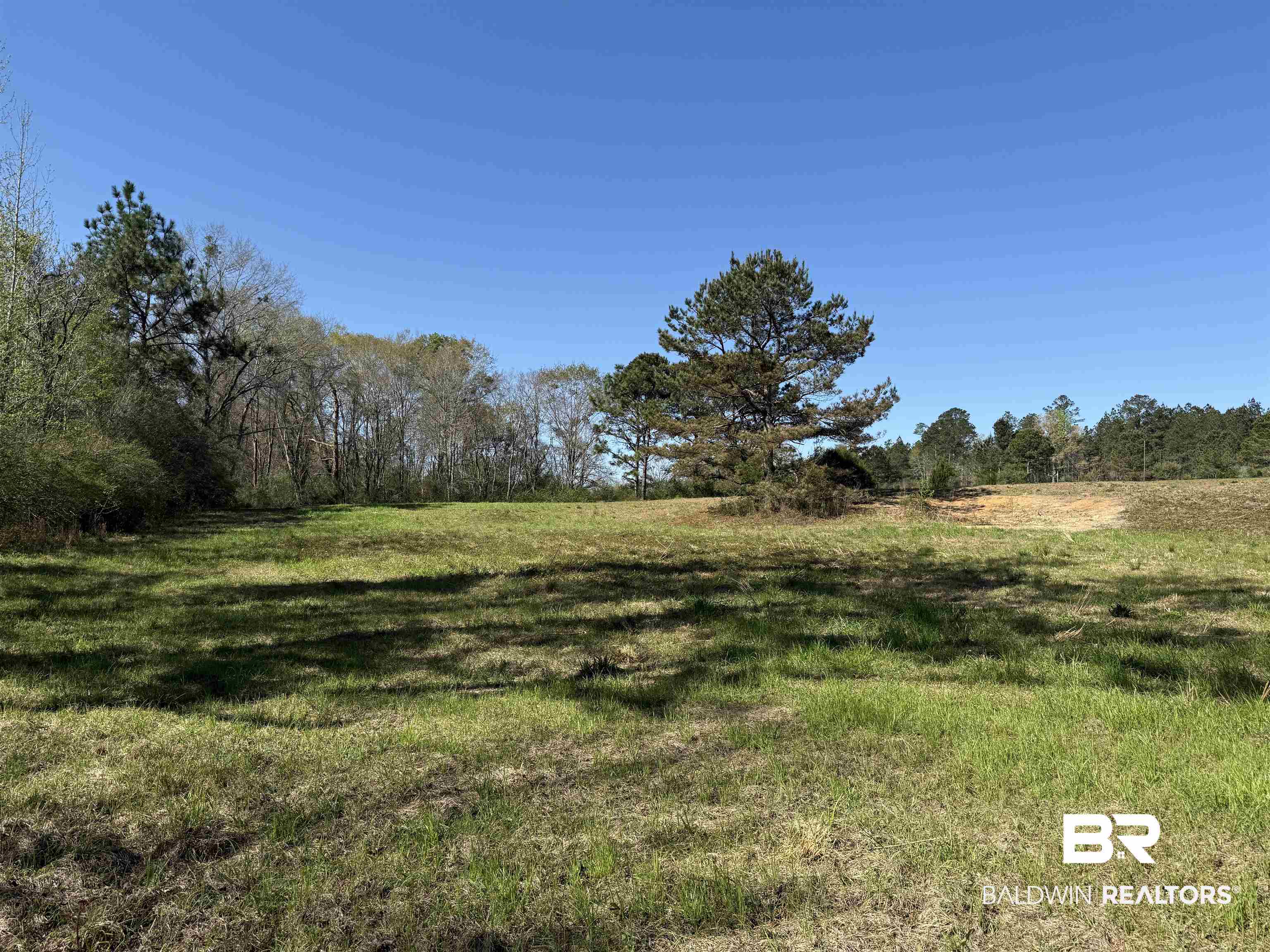 0 Gap Weekly Road Perdido, AL 36562 - Photo 14 of 20