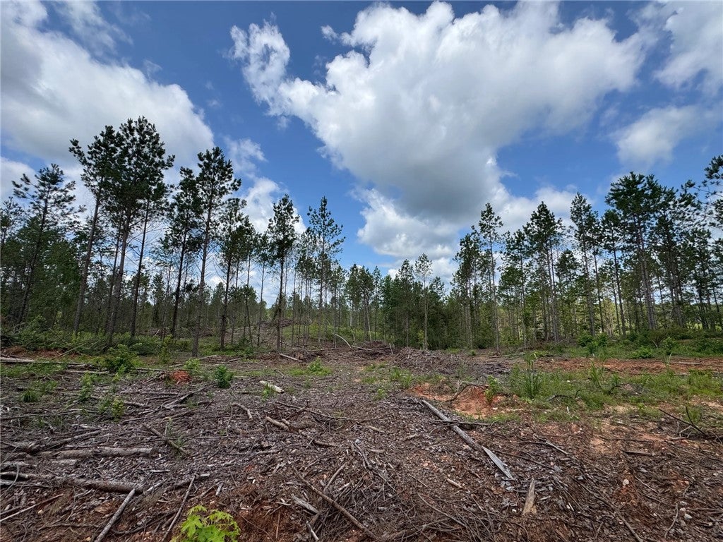 0 Parker Island Road Equality, AL 36026 - Photo 10 of 15 Gallery Image 10