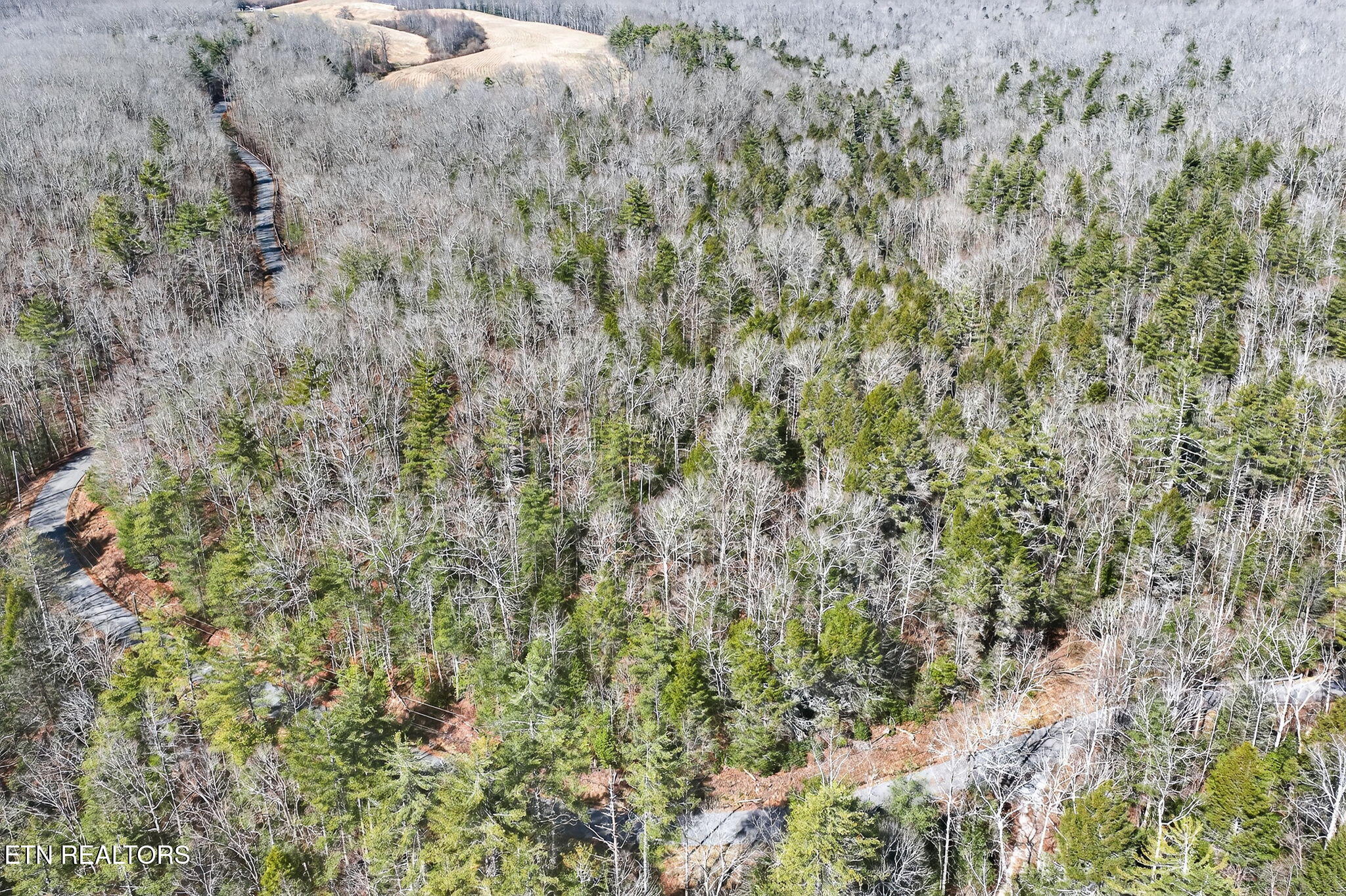 Dogwood Road Grandview, TN 37337 - Photo 11 of 20 9-web-or-mls-Dogwood Grandview_027_TNPC