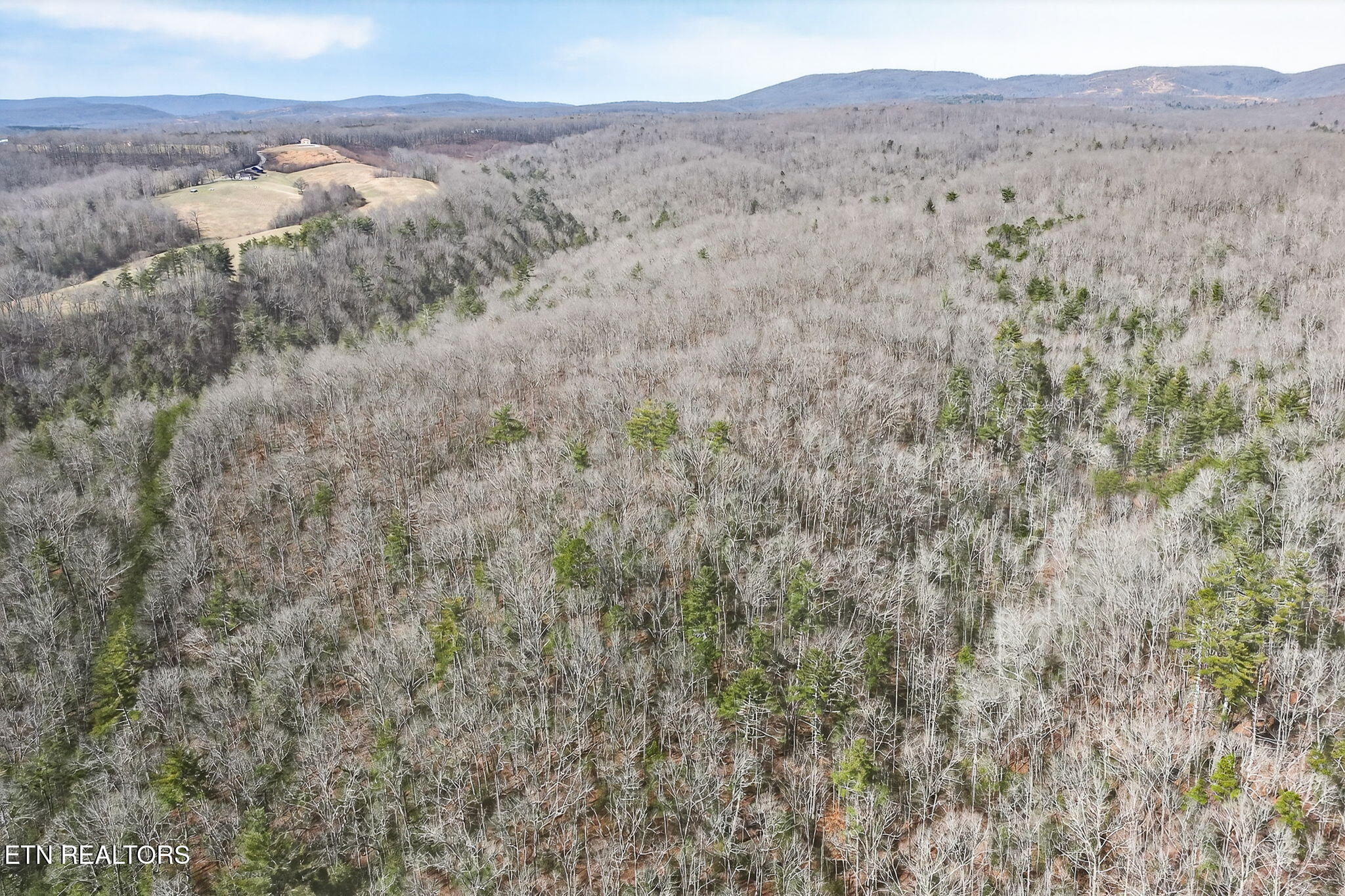 Dogwood Road Grandview, TN 37337 - Photo 14 of 20 12-web-or-mls-Dogwood Grandview_035_TNPC