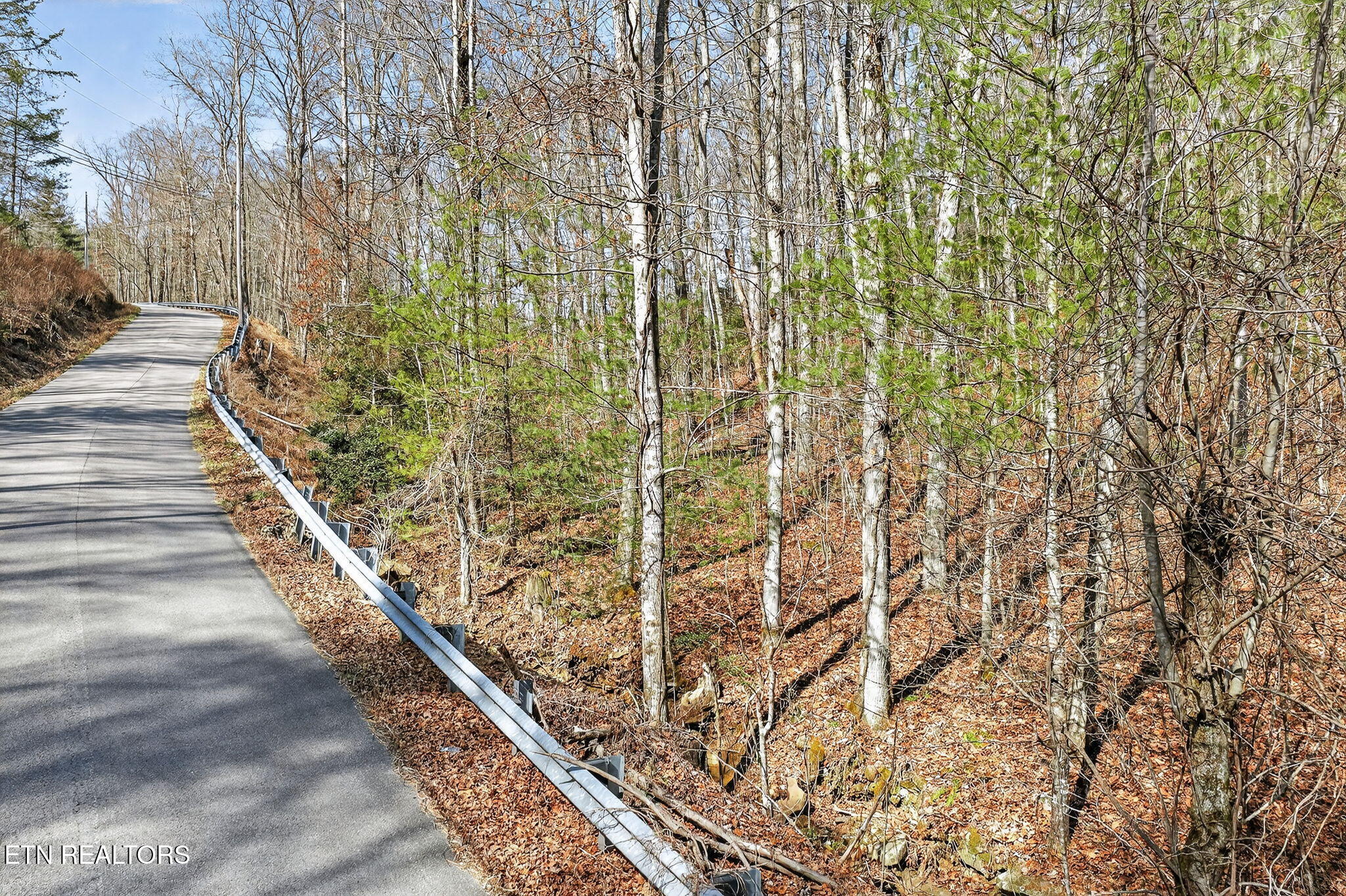 Dogwood Road Grandview, TN 37337 - Photo 19 of 20 18-web-or-mls-Dogwood Grandview_052_TNPC