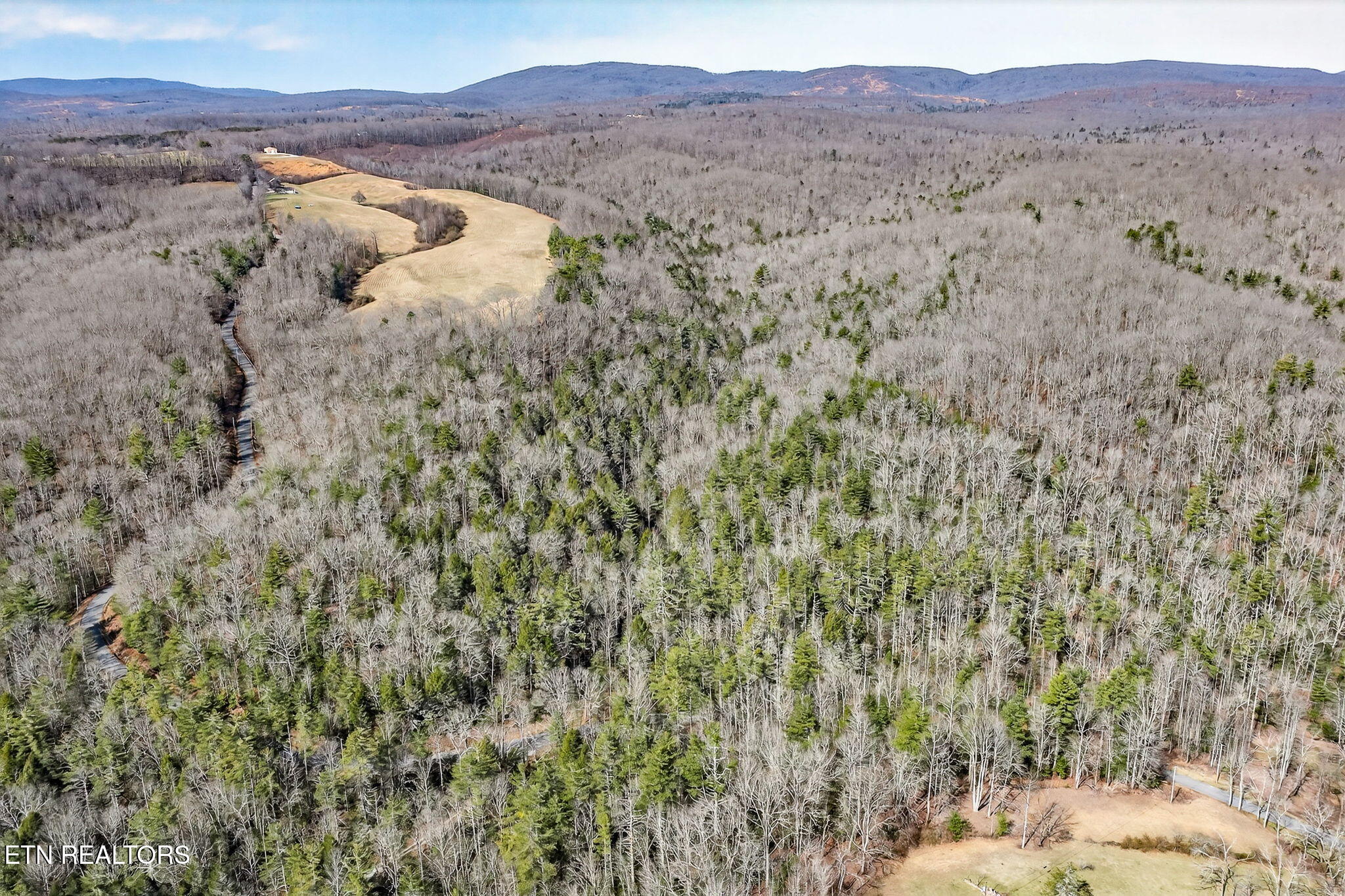 Dogwood Road Grandview, TN 37337 - Photo 7 of 20 3-web-or-mls-Dogwood Grandview_009_TNPC