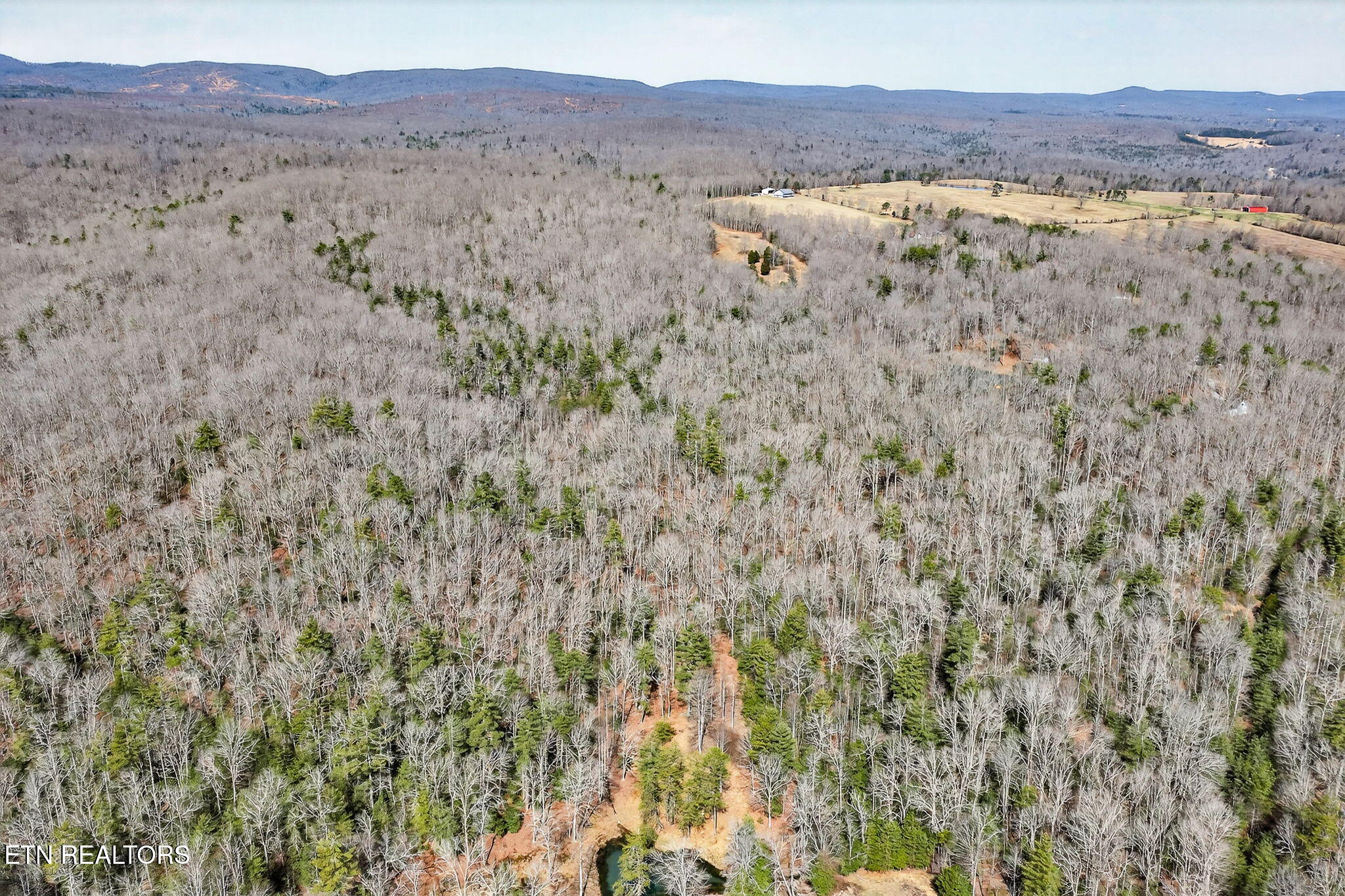 Dogwood Road Grandview, TN 37337 - Photo 9 of 20 5-web-or-mls-Dogwood Grandview_016_TNPC