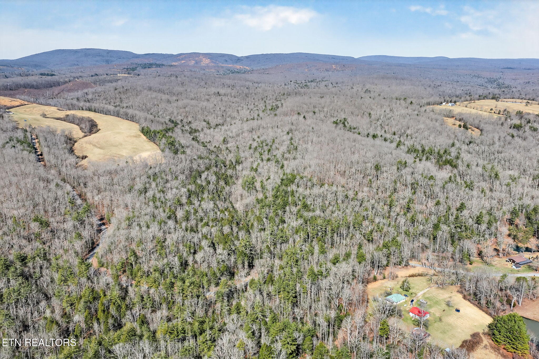 Dogwood Road Grandview, TN 37337 - Photo 10 of 20 7-web-or-mls-Dogwood Grandview_024_TNPC