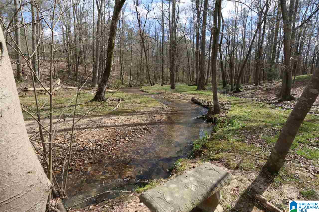 67 Hill Top Road Springville, AL 35146 - Photo 11 of 39