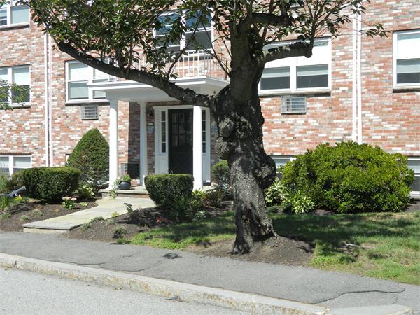 front view of a house with a yard and potted plants