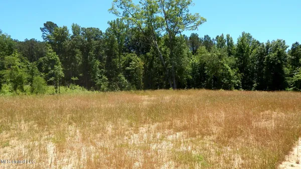 $65,000 | 105 Hugh White State Pk Road, Grenada, MS 38901