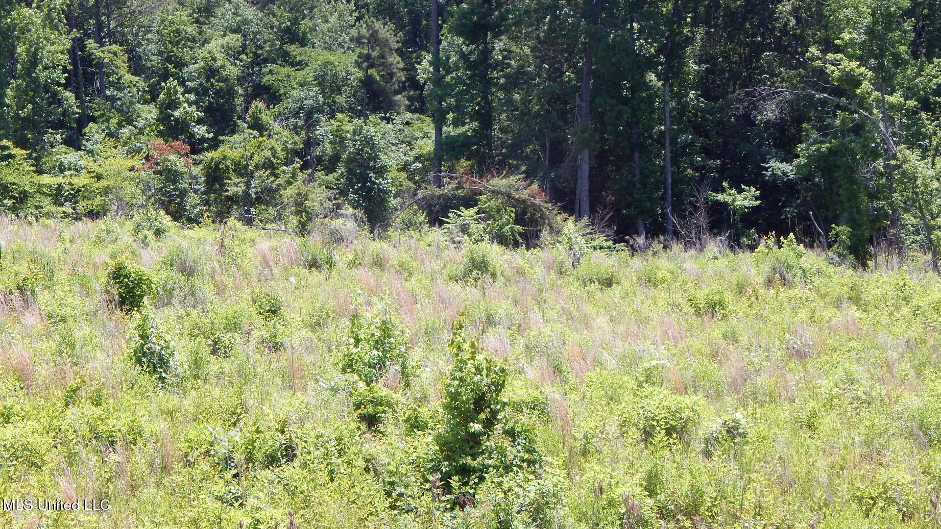 105 Hugh White State Pk Road Grenada, MS 38901 - Photo 4 of 14 DSCN6884