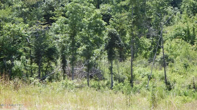 $65,000 | 105 Hugh White State Pk Road, Grenada, MS 38901