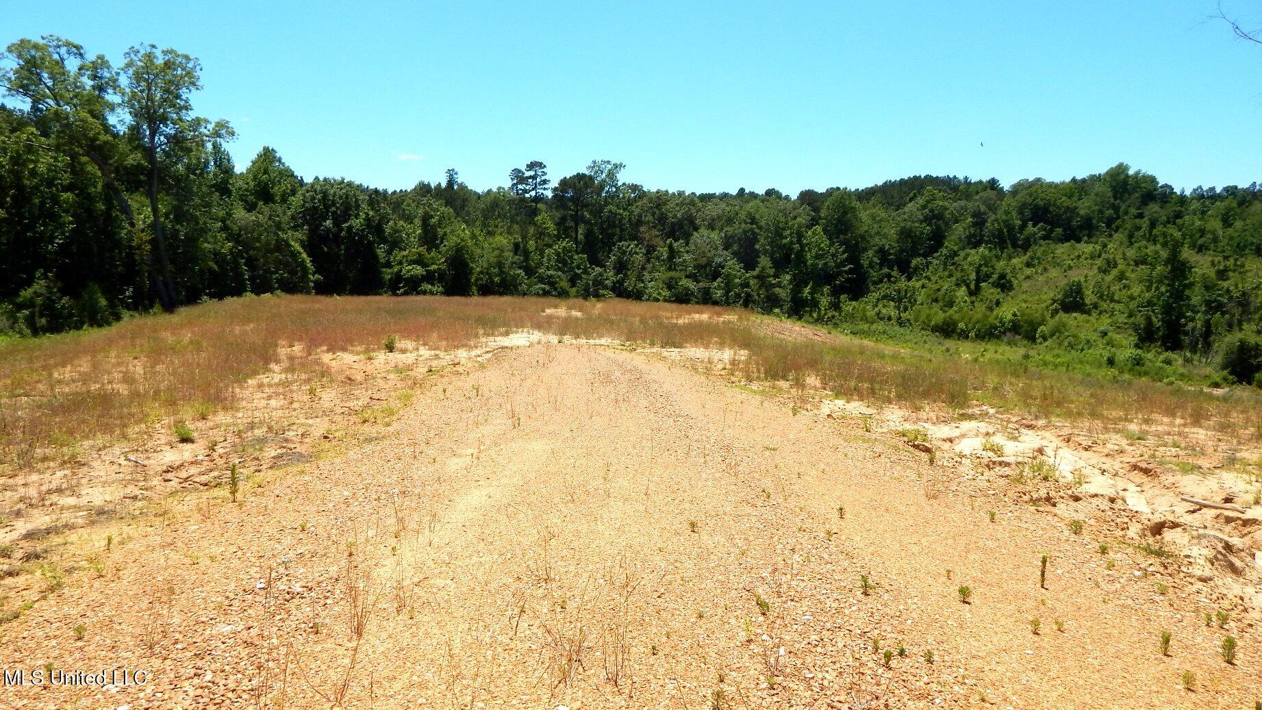 105 Hugh White State Pk Road Grenada, MS 38901 - Photo 6 of 14 DSCN6885