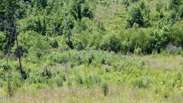 $65,000 | 105 Hugh White State Pk Road, Grenada, MS 38901