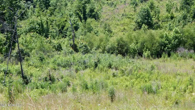 $65,000 | 105 Hugh White State Pk Road, Grenada, MS 38901