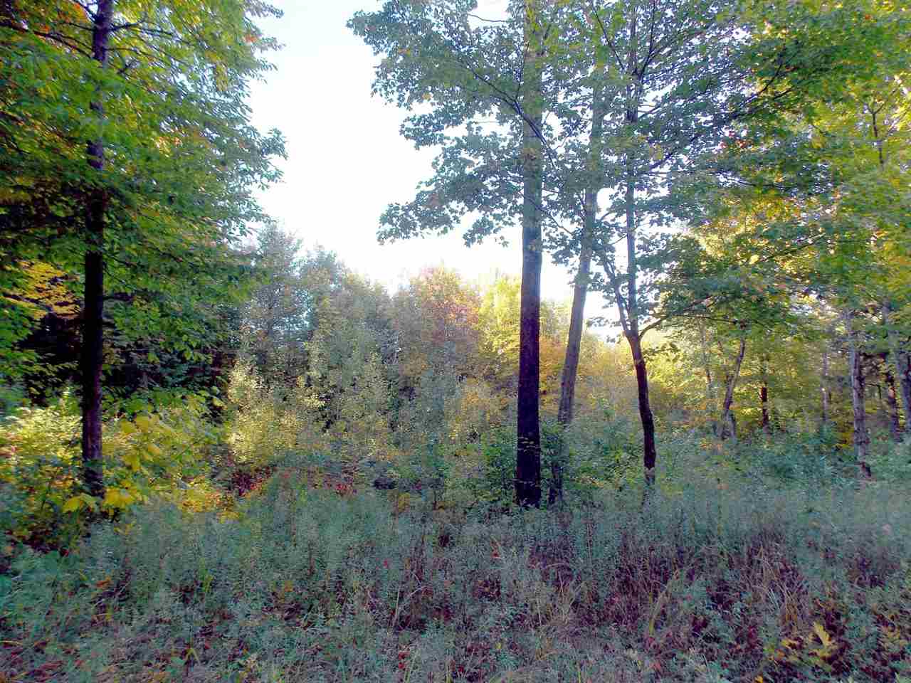 Lot 2 Ball Ground Road Westfield, VT 05874 - Photo 3 of 12