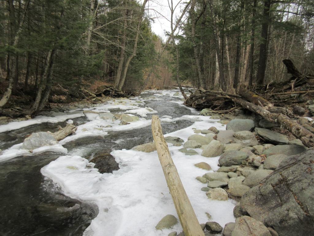 Lot 2 Ball Ground Road Westfield, VT 05874 - Photo 8 of 12