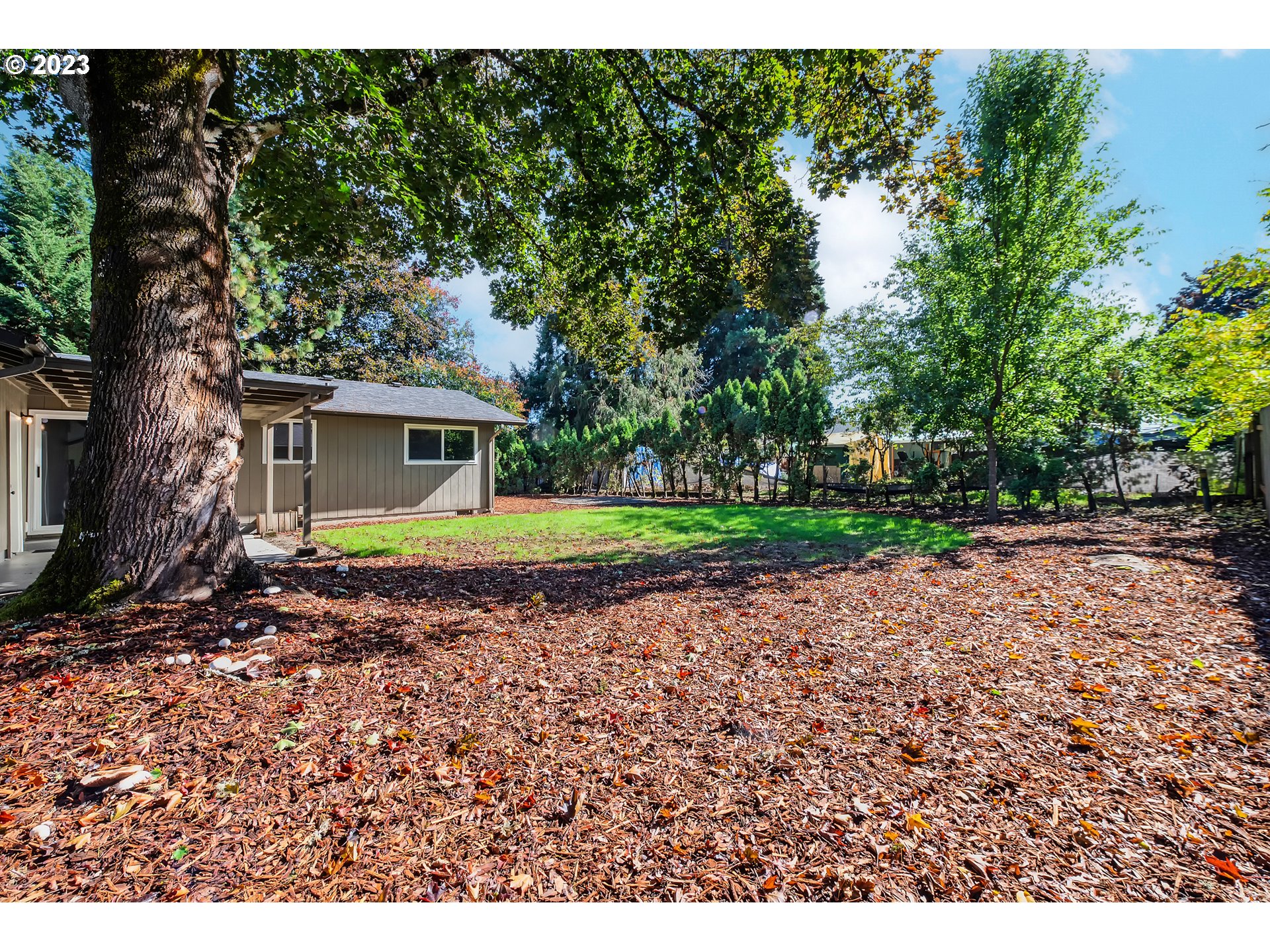 4439 Camellia Street Springfield, OR 97478 - Photo 27 of 31 a view of outdoor space and yard