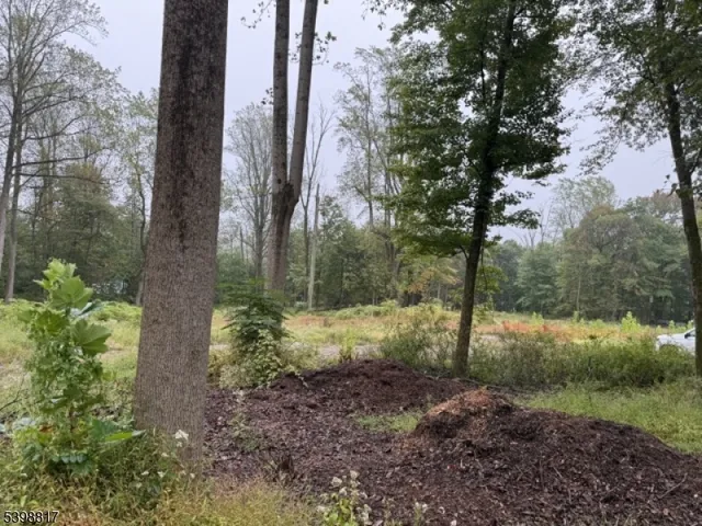 a view of outdoor space with trees all around