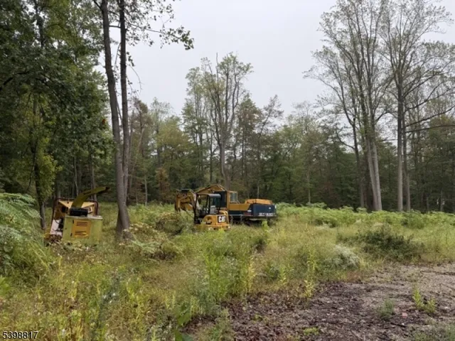 a view of outdoor space with trees all around