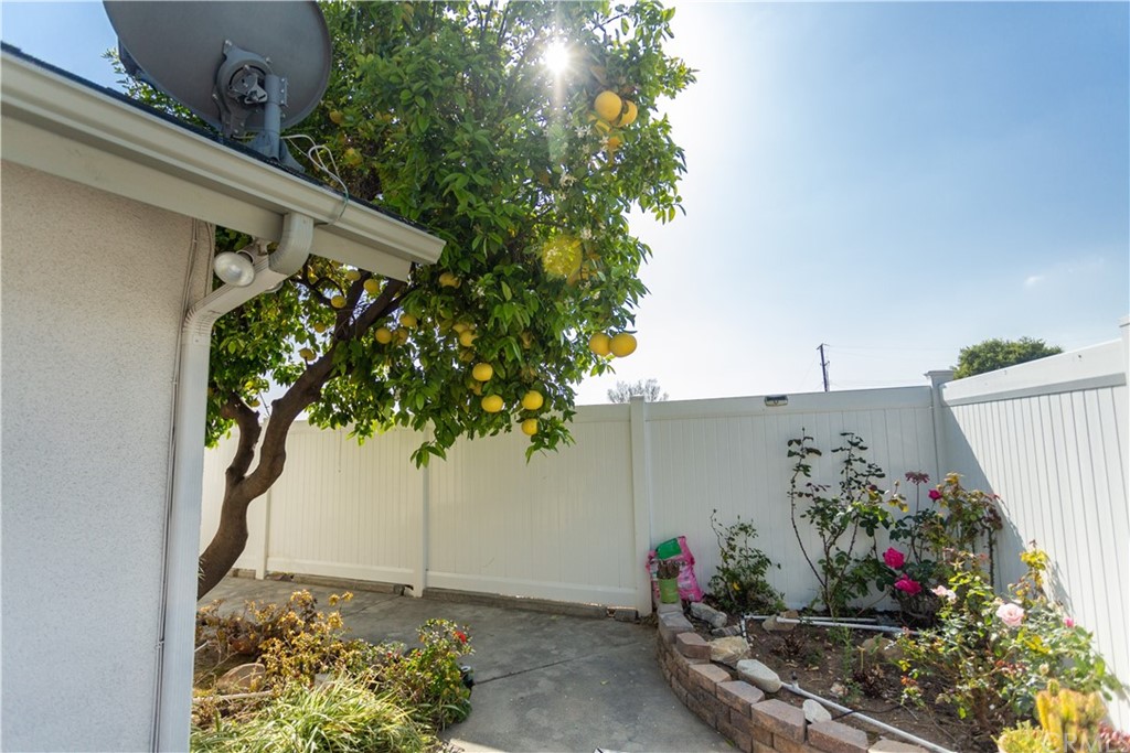 395 Pineridge Street Brea, CA 92821 - Photo 39 of 39 a view of a potted flower in a yard