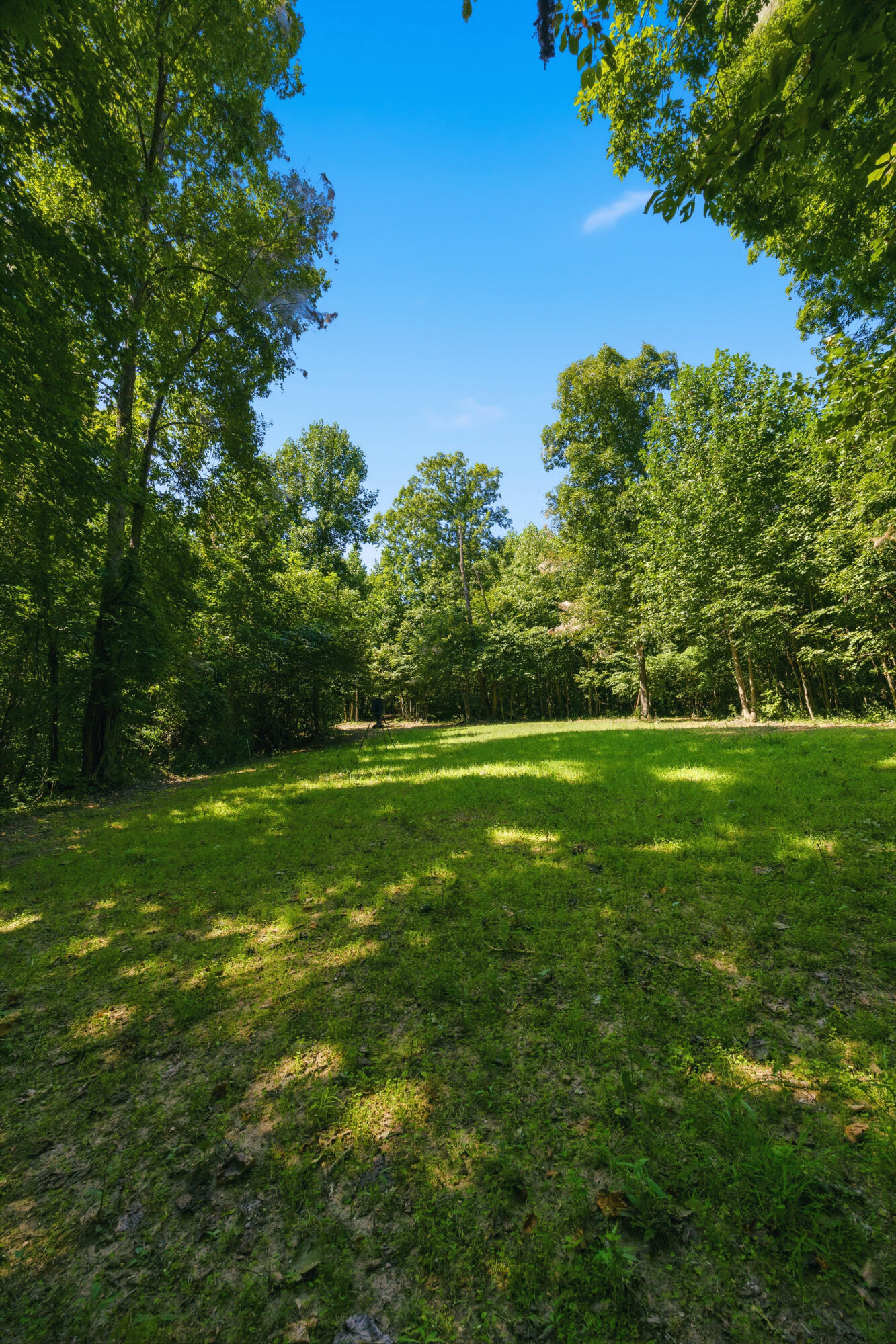 1562 High Ridge Road Middleburg, KY 42541 - Photo 34 of 46 35_img_4054