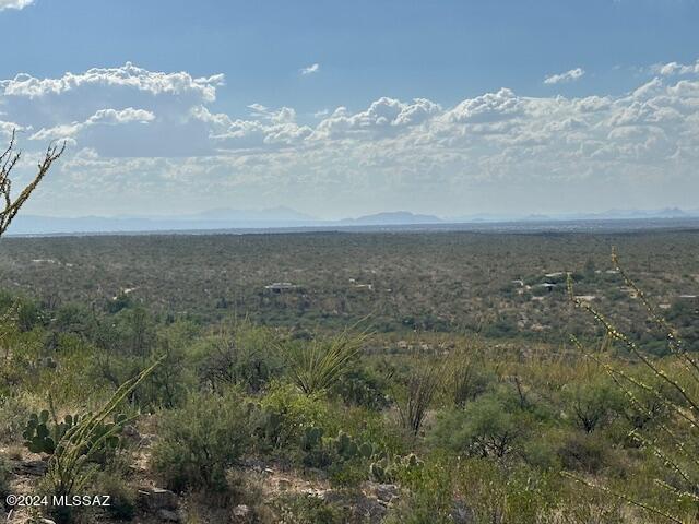 8167 South Pistol Hill Road Vail, AZ 85641 - Photo 31 of 36
