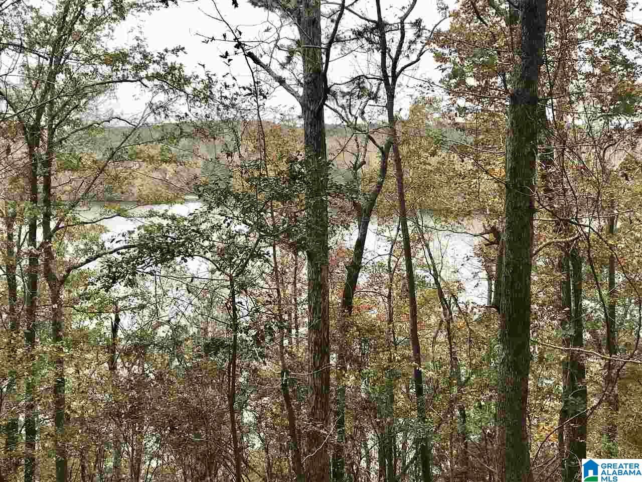 0 Sleepy Hollow Road, Unit 75 Rockford, AL 35136 - Photo 26 of 33