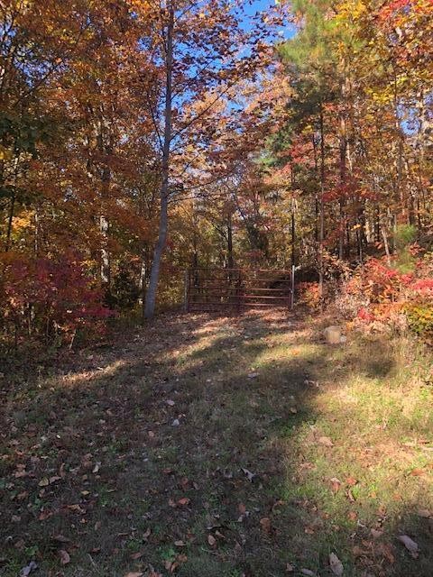 0 Bluffs Road North Guild, TN 37340 - Photo 7 of 16 Gallery Image 7