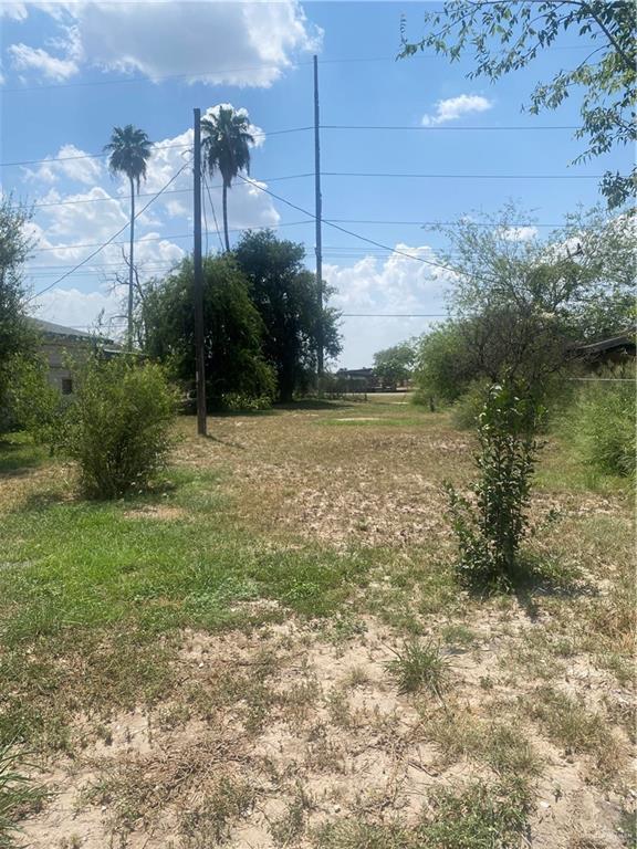 3912-3914 Los Ebanos Road Mission, TX 78573 - Photo 17 of 18 a view of a yard