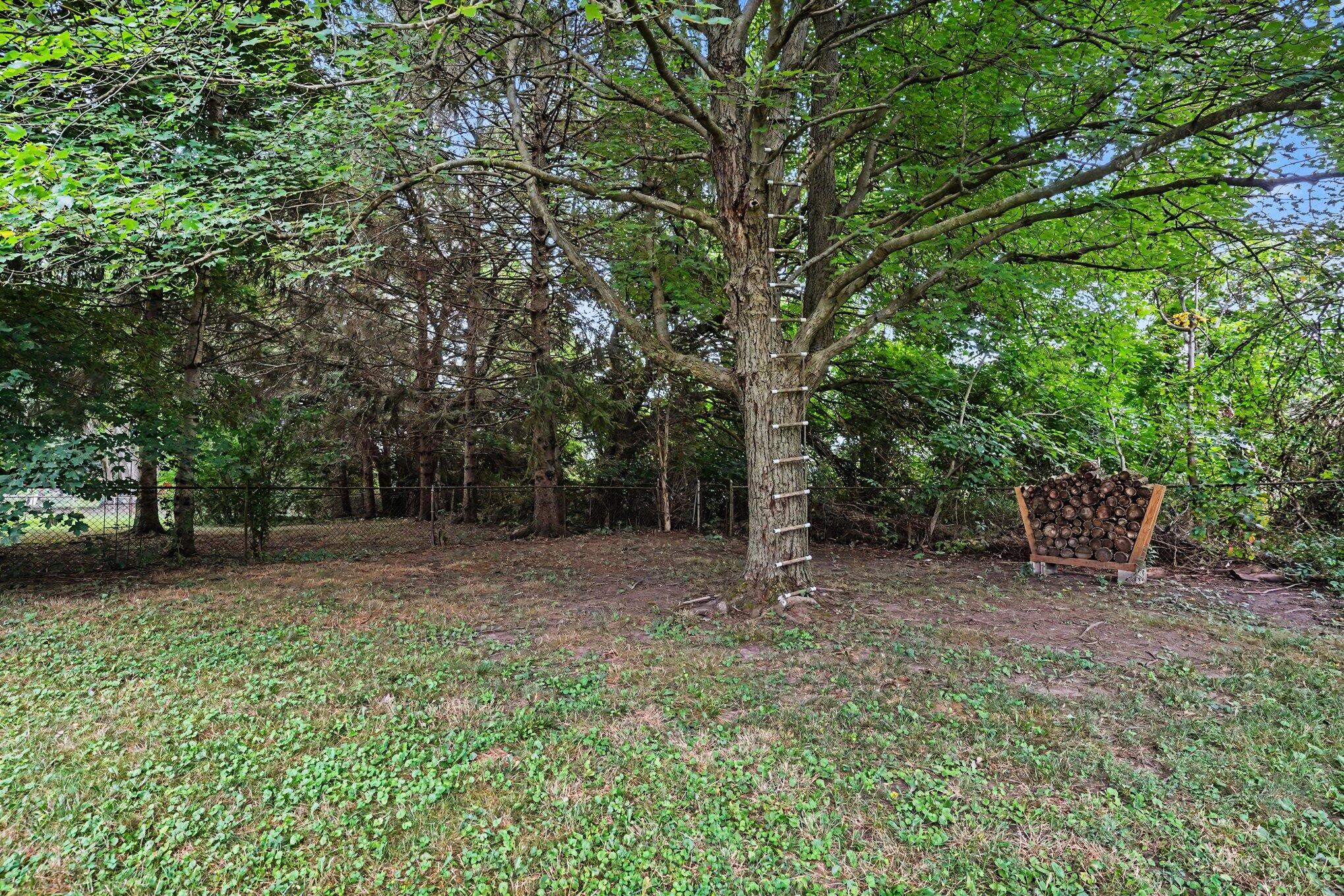 3011 Barney Road Kalamazoo, MI 49004 - Photo 23 of 26 025_dsc02050_293