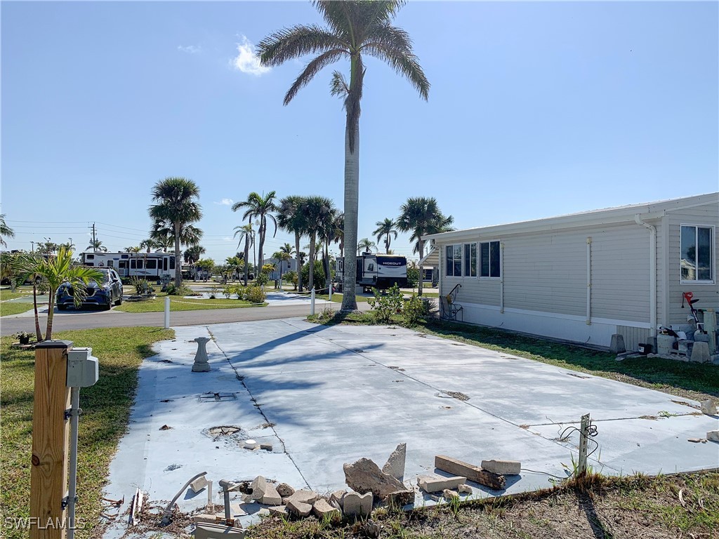 a row of palm trees and a yard with swimming pool