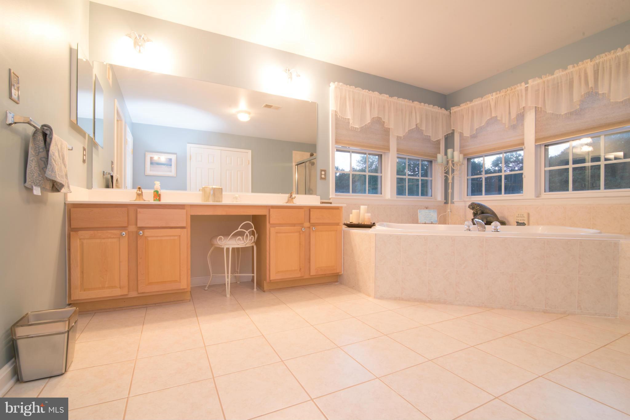 17142 Big Falls Road Monkton, MD 21111 - Photo 17 of 30 Bath (Master)