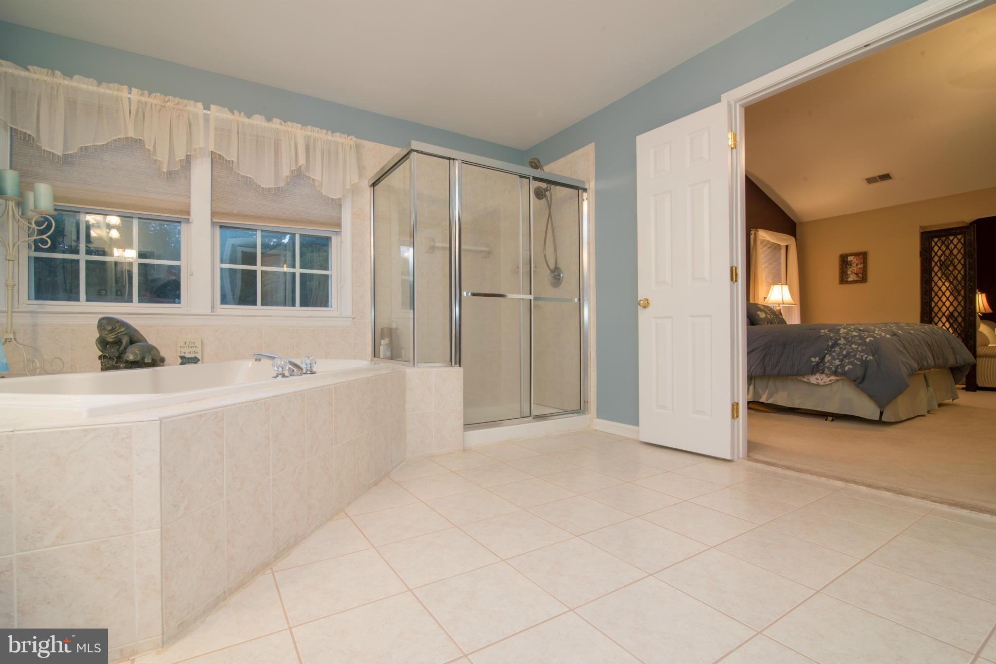 17142 Big Falls Road Monkton, MD 21111 - Photo 18 of 30 Bath (Master)