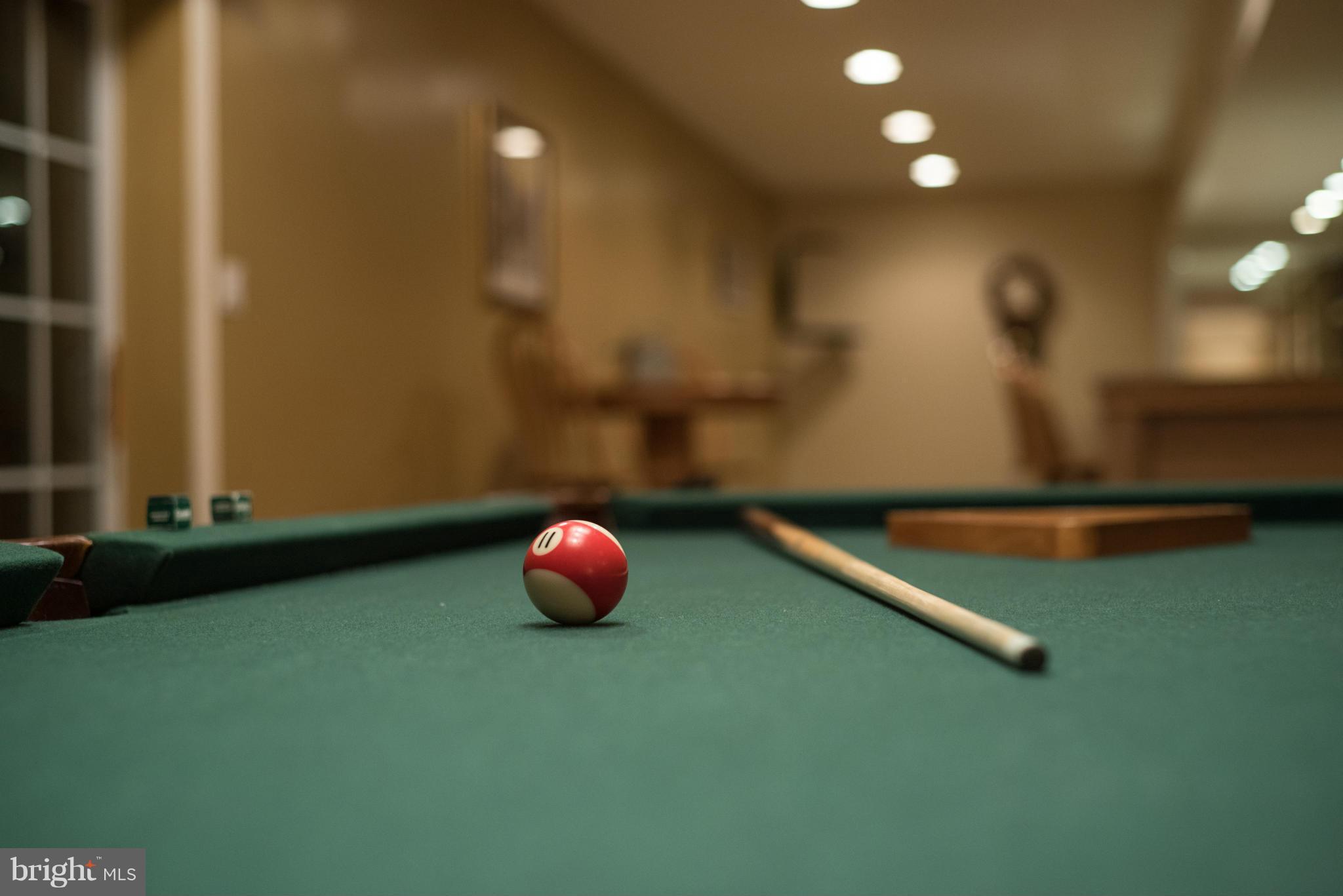 17142 Big Falls Road Monkton, MD 21111 - Photo 25 of 30 Basement