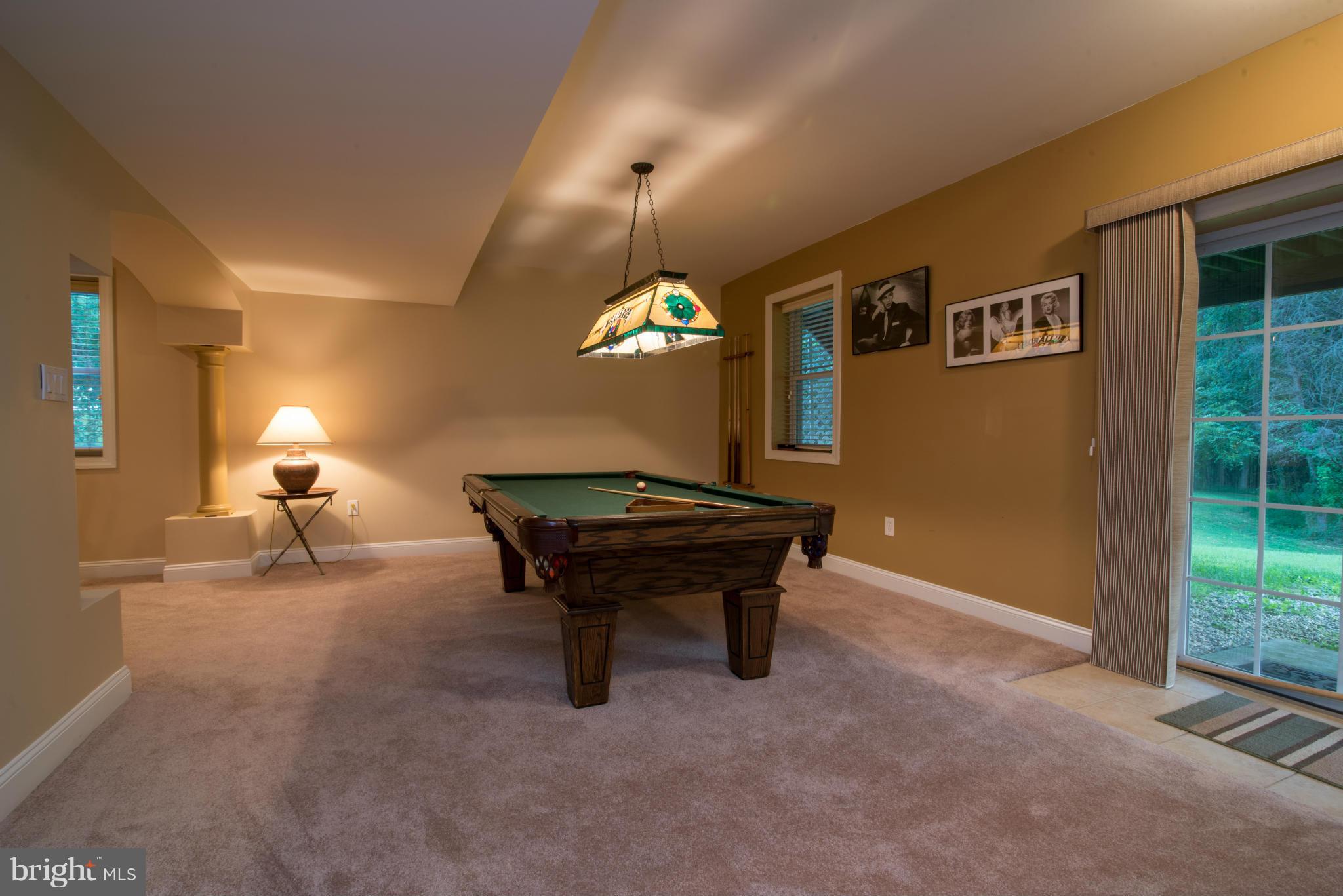 17142 Big Falls Road Monkton, MD 21111 - Photo 26 of 30 Basement