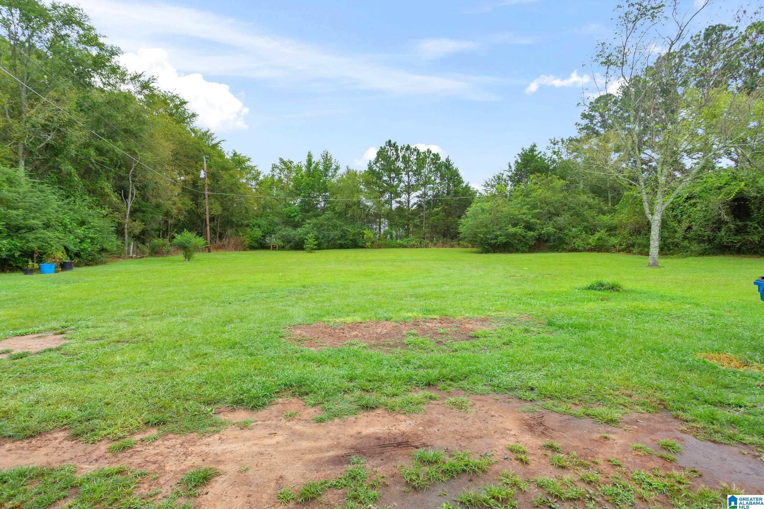 910 Whites Gap Road Jacksonville, AL 36265 - Photo 6 of 13