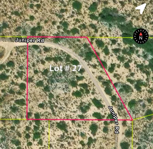 a view of a dry yard with mountains in the background