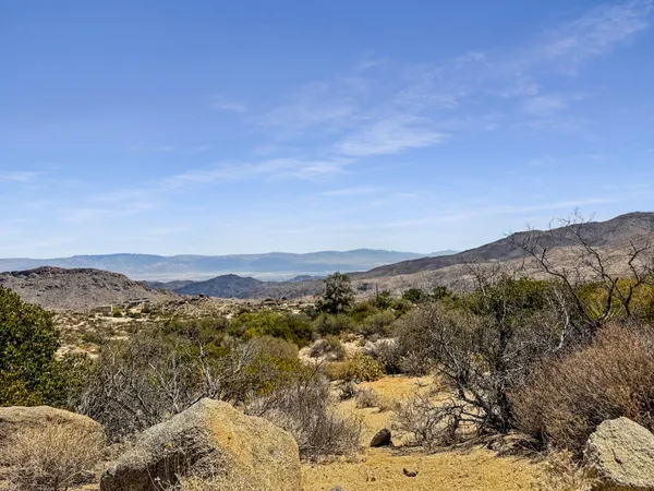 an aerial view of houses covered in trees